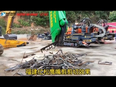 चील की चोंच वाली कैंची